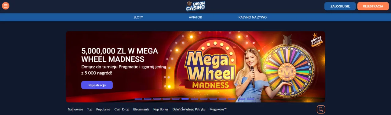 Strona-glowna-Playbison